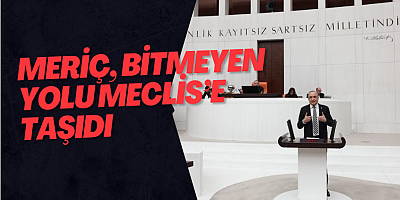 Meriç, Bitmeyen Yolu Meclis’e Taşıdı