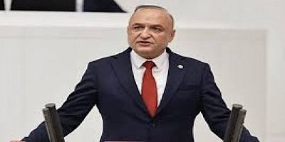 Milletvekili Meriç, Heşirelerin Nöbet Saatini Meclis Gündemine Taşıdı