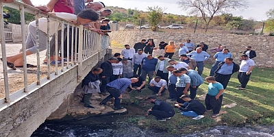 Nizip Çayı’ndan zehir akıyor