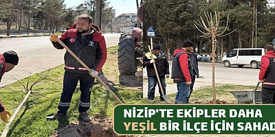 Nizip'te ekipler daha yeşil bir ilçe için sahada