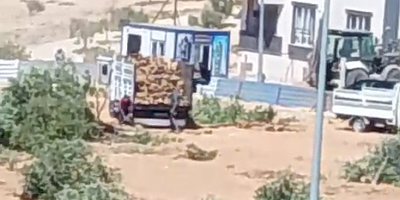 “Nizip’te Zeytin Ağaçları Katliamı!”