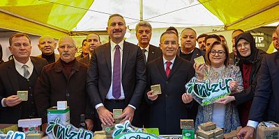 NİZİP ZEYTİNYAĞI