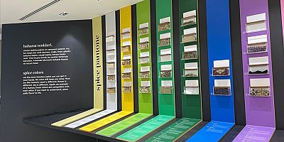 Peynir, pekmez, sabun ve baharat müzeleri Gaziantep kültürünü dünyaya tanıtacak