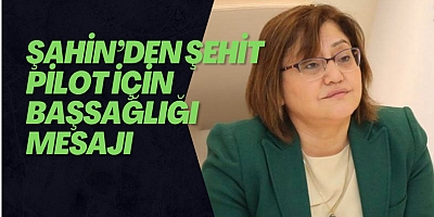 Şahin’den Şehit Pilot İçin Başsağlığı Mesajı