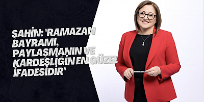 Şahin: 
