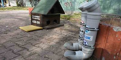 Şahinbey'den sokak hayvanları için su çağrısı