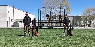 Sınırların gizli kahramanı hassas burun köpekler böyle eğitiliyor