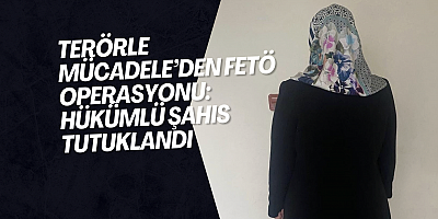 Terörle Mücadele’den FETÖ Operasyonu: Hükümlü Şahıs Tutuklandı