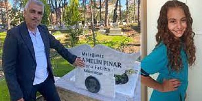 Türkiye’de sokak hayvanlarıyla ilgili acı tablo