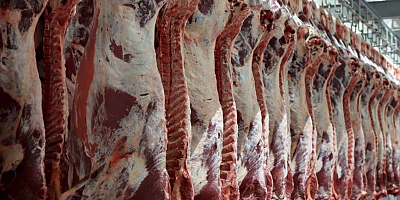 “Türkiye Şap Hastalığıyla Sarsılıyor: Gaziantep’te Korku Büyüyor”