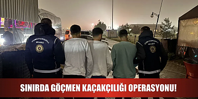 Ülkeye girmeye çalışırken suçüstü yakalandılar!