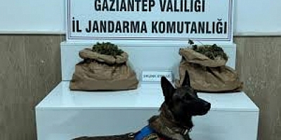 Uyuşturucu tacirine jandarma baskını