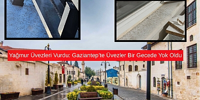 Yağmur Üvezleri Vurdu: Gaziantep’te Üvezler Bir Gecede Yok Oldu