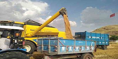 Yavuzeli’nde buğday ve arpa hasadı sürüyor