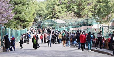 Yırtıcı Adası ile Gaziantep Doğal Yaşam Parkı'nın ziyaretçi sayısı artırılacak