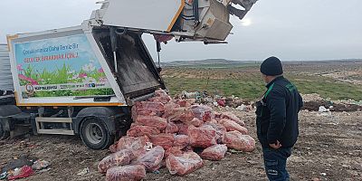 Zabıta ekipleri sağlıksız gıdaya geçit vermedi: 1,6 ton ciğer imha edildi