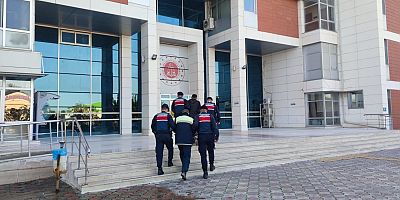 Zeytin hırsızları Jandarma dedektiflerinin ağında yakalandı