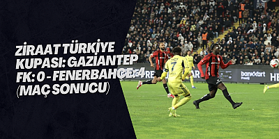 Ziraat Türkiye Kupası: Gaziantep FK: 0 - Fenerbahçe: 4 (Maç sonucu)